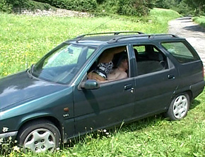 Auto-stoppeuse mature fait dgnrer le trajet 12